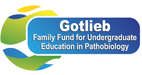 Gottlieb